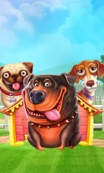 The Dog House